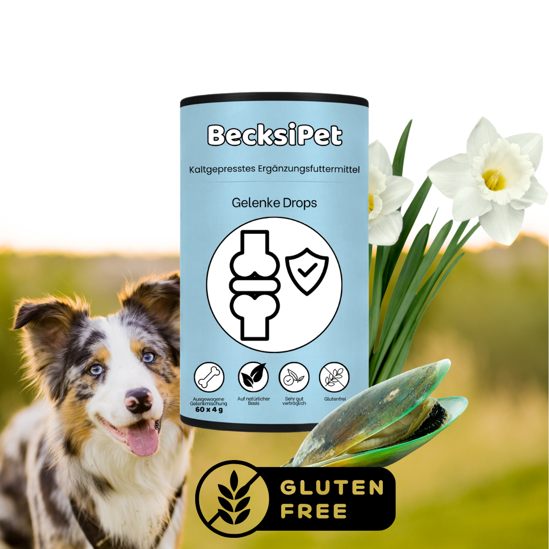 Gelenke Drops